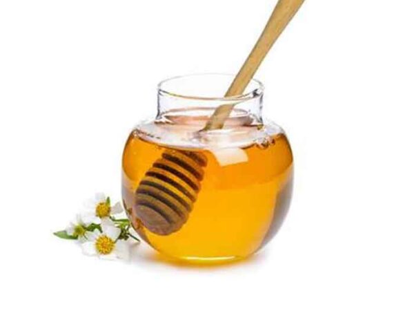 Honey Demo 2