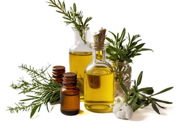 Olive Oil Demo 2