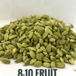 Cardamom : 8 - 10 mm Fruit